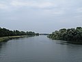 zwischen Marckolsheim und Sasbach, der Rhein