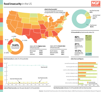 Infographic about food insecurity in the US US Food Insecurity.png