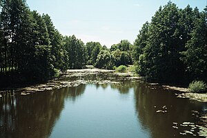 Річка Усманка.