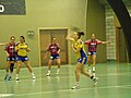 VÍF on Vestmannan urheiluseura, joka pelaa käsipalloa.