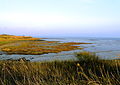 View of Severn Estuary Rocks From Newport Wetlands RSPB Reserve