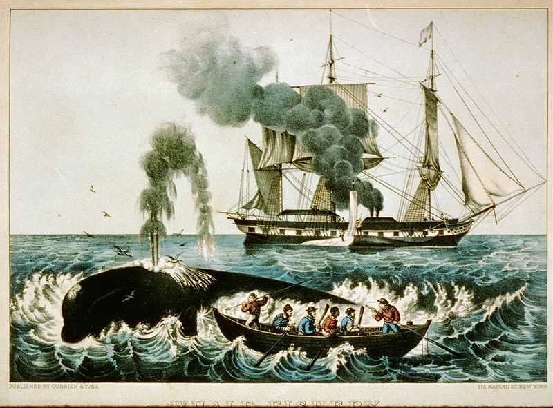 File:Walfang zwischen 1856 und 1907.jpg