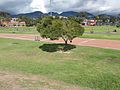 Parque Metropolitano El Tunal