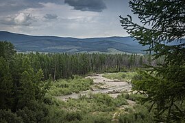 Taïga dans la bannière du Tchedi-Khol.