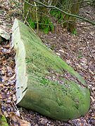 Bloc de roche qui s'est détachée du menhir.