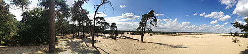 Loonse en Drunense Duinen