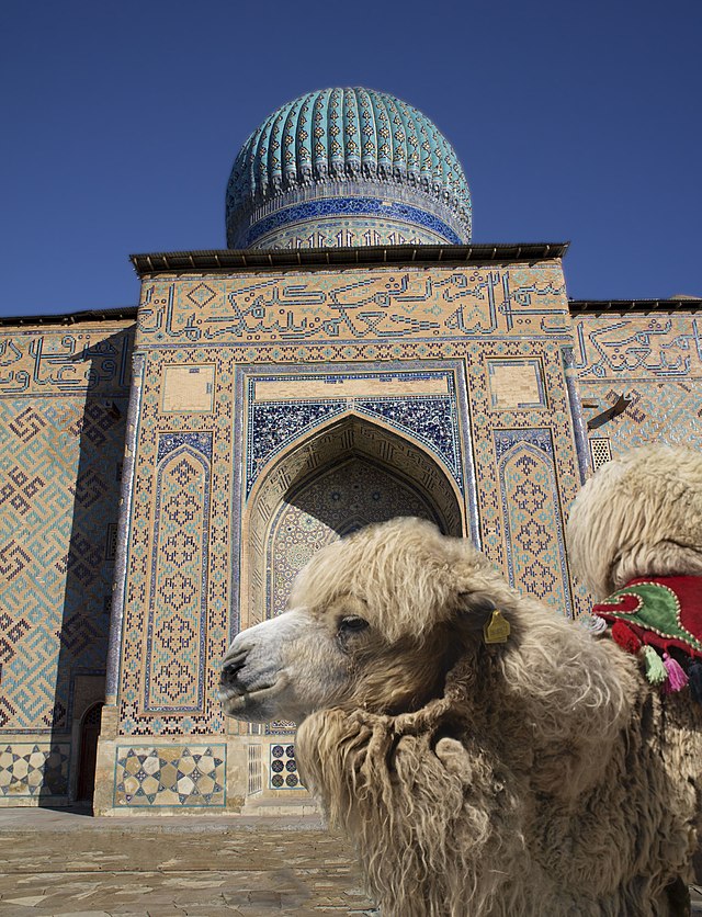Бактријска камила испред маузолеја Хоџе Ахмеда Јасавија. Хазрат-е Туркестан, Казахстан.