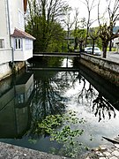 La Beauronne à Château-l'Évêque.