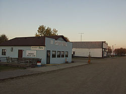 Brocket at twilight