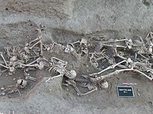 Skeletons in a mass grave from 1720 to 1721 in Martigues, near Marseille in southern France, yielded molecular evidence of the orientalis strain of Yersinia pestis, the organism responsible for bubonic plague. The second pandemic of bubonic plague was active in Europe from 1347, the beginning of the Black Death, until 1750. Bubonic plague victims-mass grave in Martigues, France 1720-1721.jpg