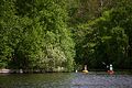 Canoeist in the Weerribben