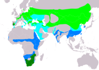 ფაილი:Ciconia abdimii distribution map.png