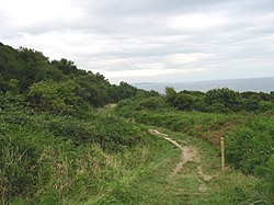 Coast path from Ware Cliffs down to Lyme Regis