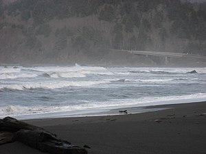 Del norte coast redwoods state park.jpg