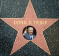 The Donald Trump Barnstar. For all your work on articles related to Covfefe. -- Milowent • hasspoken 15:09, 31 May 2017 (UTC)