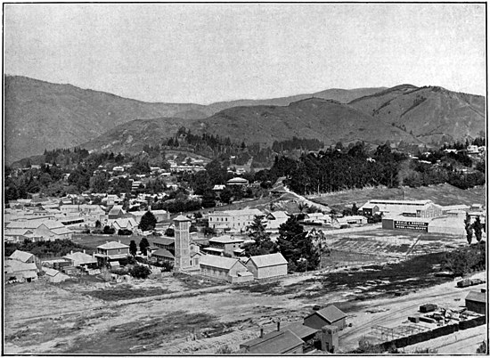 Houses and buildings in Nelson, with bare hills in the background, trees along the base, and the railway station and train tracks in the foreground