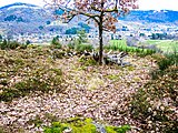 Location of the south tower of the old castle of Stoerenburg