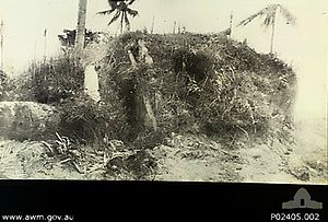 Exterior of a Japanese foxhole