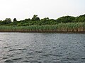 Small, grassy island in the Fire Island Inlet.