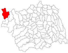 Location in Bacău County