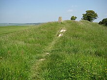 Триангуляционная колонна в замке Холлингбери - geograph.org.uk - 840731.jpg