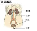 2009年6月2日 (火) 18:24時点における版のサムネイル