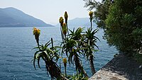 Blik over het Lago Maggiore