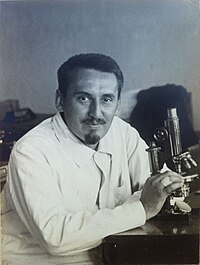 Karel Kavina