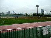 Looking at the pitch from the stands in the park