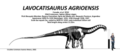 Lavocatisaurus agrioensis