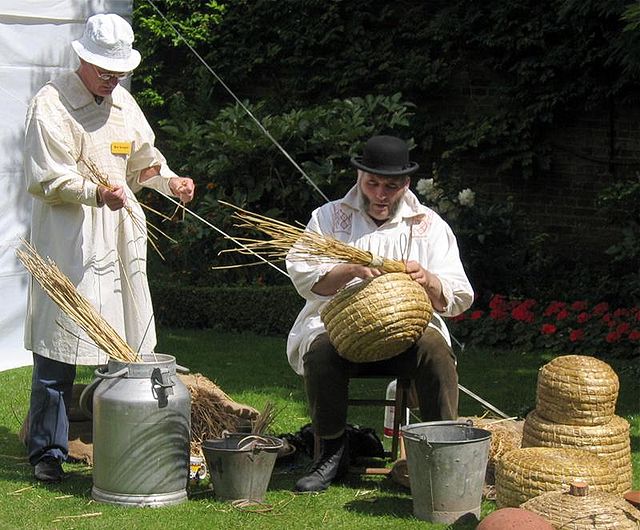 Making a traditional beehive, known as a skep