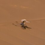 NASA-MarsPerseveranceRover-IngenuityHelicopter-20240226.jpg