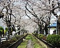 2007年5月9日 (水) 15:12時点における版のサムネイル