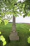 Overview_of_wayside_cross_of_Josef_Králík_near_Pálovice,_Třebíč_District.jpg