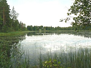 Preeksa järv.