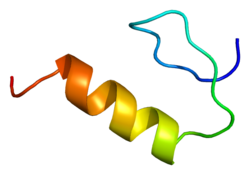 Белок SP1 PDB 1sp1.png