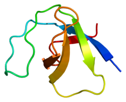 Белок YES1 PDB 2hda.png