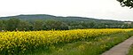 De Rehburger Berge met de Brunnenberg