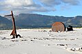 Cat: Shipwrecks in South Africa