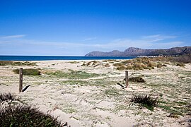 S'Arenal de Sa Canova vom Parkplatz Son Serra de Marina