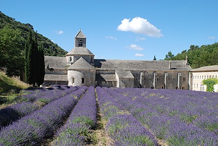 Sénanque