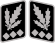 SS-Oberst-Gruppenführer collar.svg