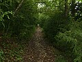 Un sentier de la colline de Planoise.