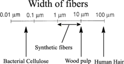 Sizes of synthetic and naturally occurring fibers Sizes.png