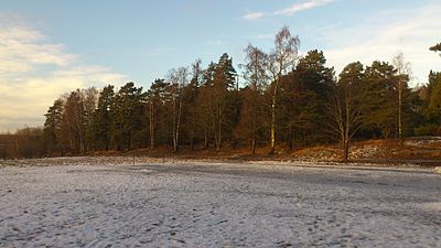 Stabbyskogen i Uppsala