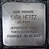 Stolperstein für Sara Hertz