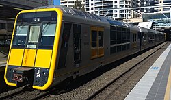 Sydney Trains Tangara (cropped).jpg