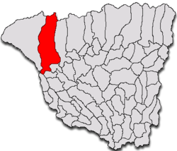 Location of Tismana