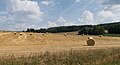 zwischen Pelhřimov (Pilgrams) und Humpolec, Panorama