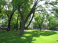 Le Parc de la vieille église.